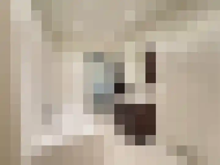 Padakkers 4 Hoogeloon thumbnail 22