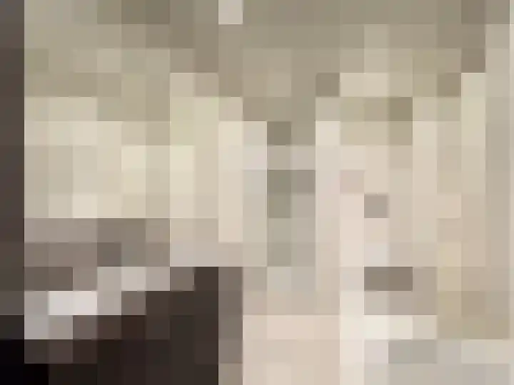 Padakkers 4 Hoogeloon thumbnail 23
