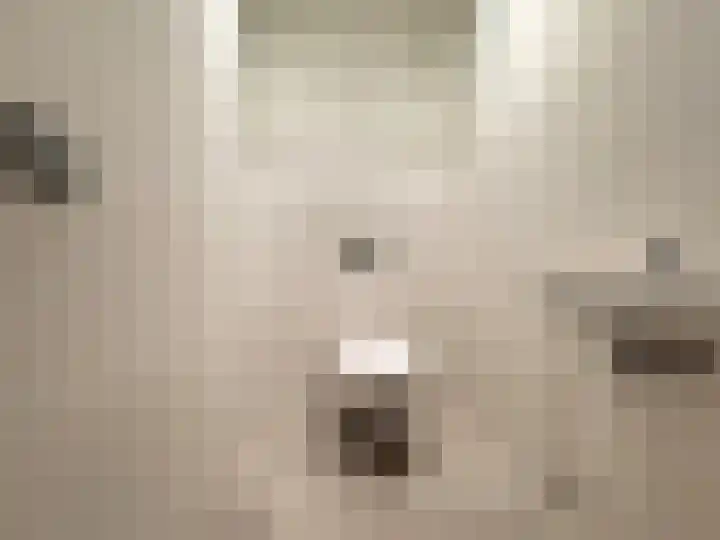 Padakkers 4 Hoogeloon thumbnail 6