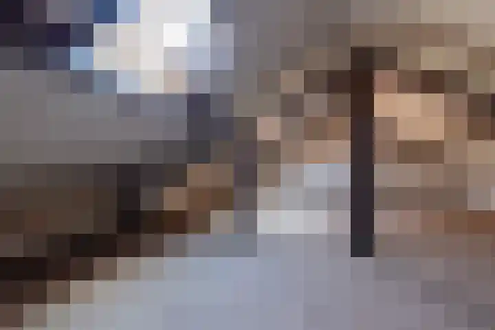 Padland 31 Doorn thumbnail 19