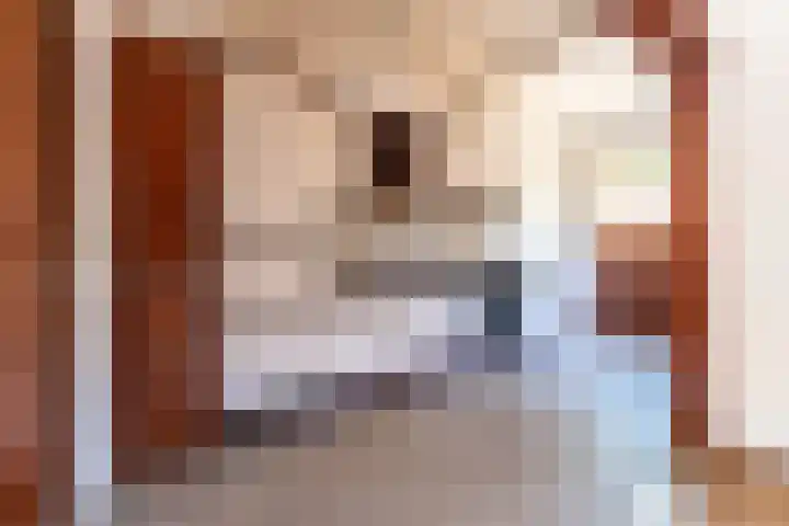 Padland 31 Doorn thumbnail 8
