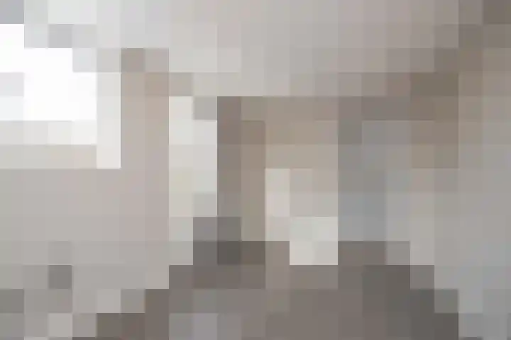 Paduaplein 16 Tilburg thumbnail 13