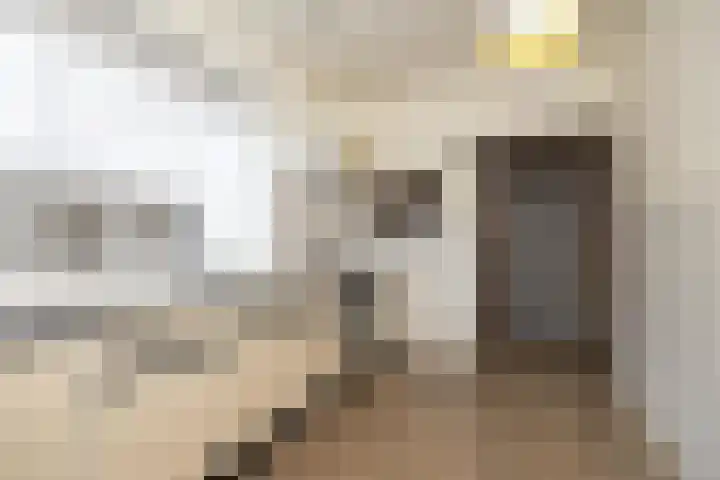Paduaplein 16 Tilburg thumbnail 6