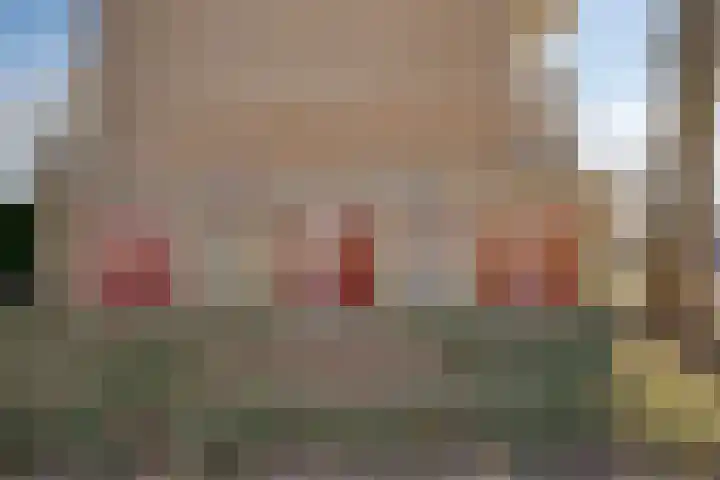 Paganinistraat 13 Oss thumbnail 24