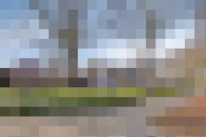 Paganinistraat 13 Oss thumbnail 28