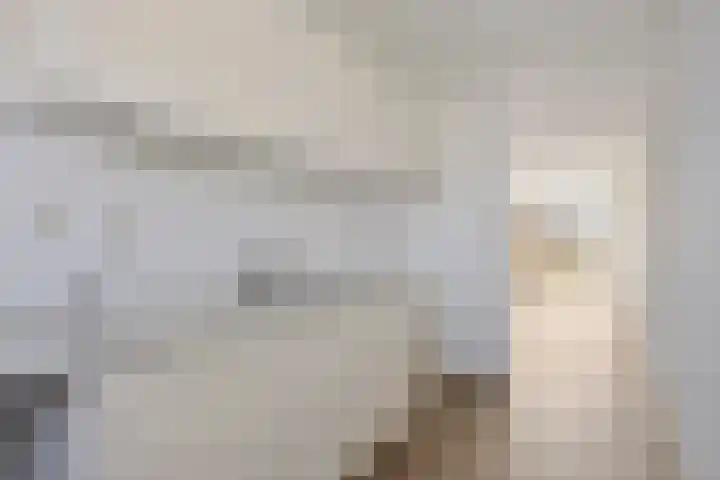 Paganinistraat 13 Oss thumbnail 4