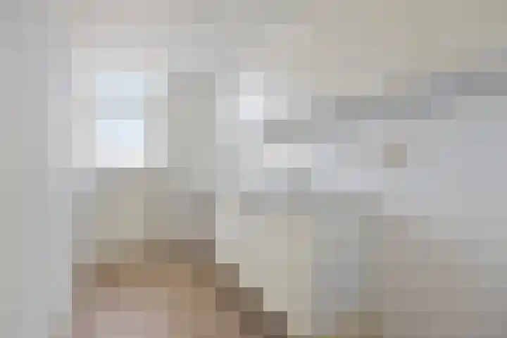 Paganinistraat 13 Oss thumbnail 5
