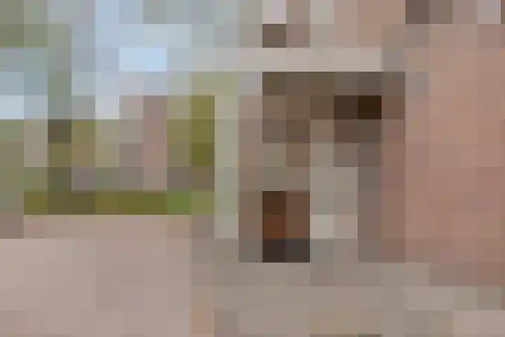 Paganinistraat 23 Oss thumbnail 21