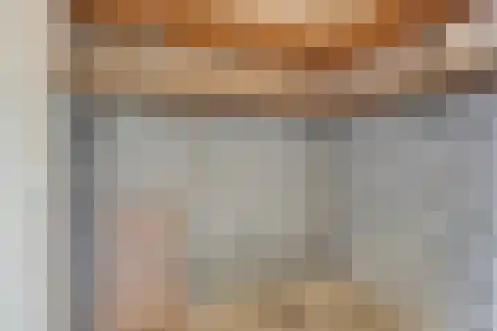 Paganinistraat 23 Oss thumbnail 23
