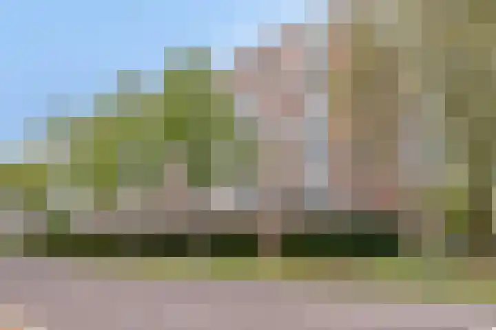 Paganinistraat 23 Oss thumbnail 24