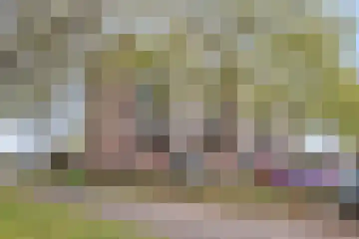 Paganinistraat 23 Oss thumbnail 26