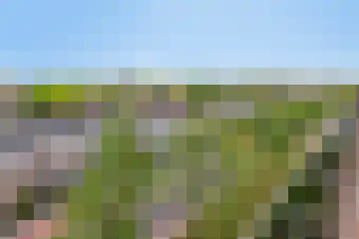 Paganinistraat 23 Oss thumbnail 27