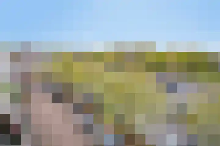 Paganinistraat 23 Oss thumbnail 28