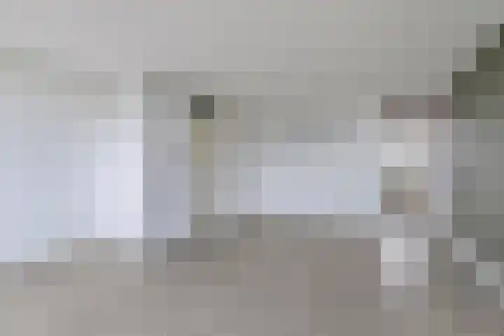 Paganinistraat 23 Oss thumbnail 4