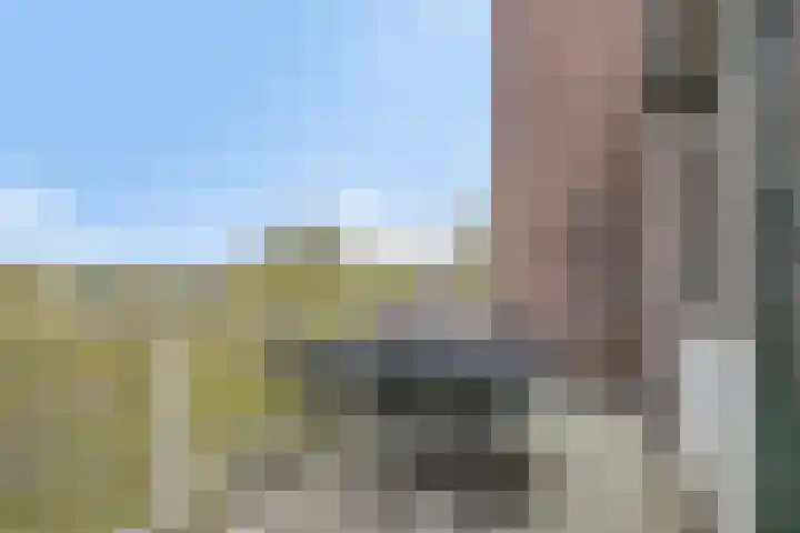 Paganinistraat 23 Oss thumbnail 7
