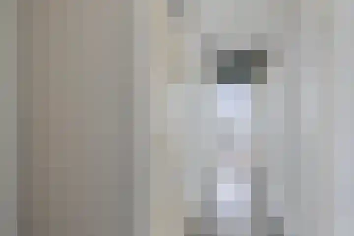 Paganinistraat 23 Oss thumbnail 9