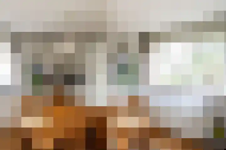 Paganinistraat 24 Oss thumbnail 11