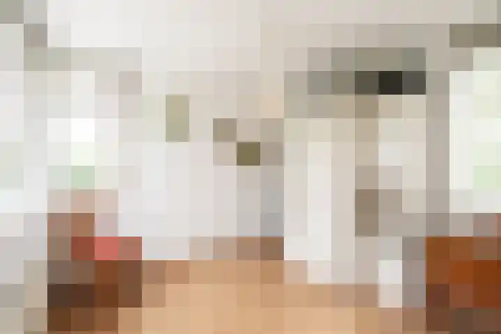 Paganinistraat 24 Oss thumbnail 17