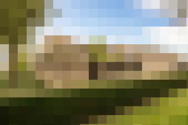 Paganinistraat 24 Oss thumbnail 25