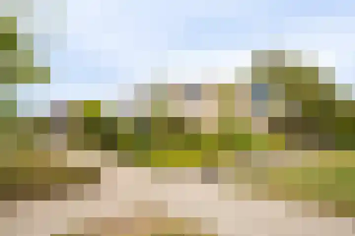 Paganinistraat 24 Oss thumbnail 26