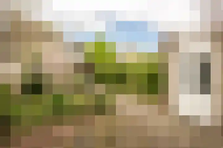 Paganinistraat 24 Oss thumbnail 4
