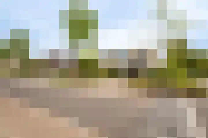 Paganinistraat 24 Oss thumbnail 5