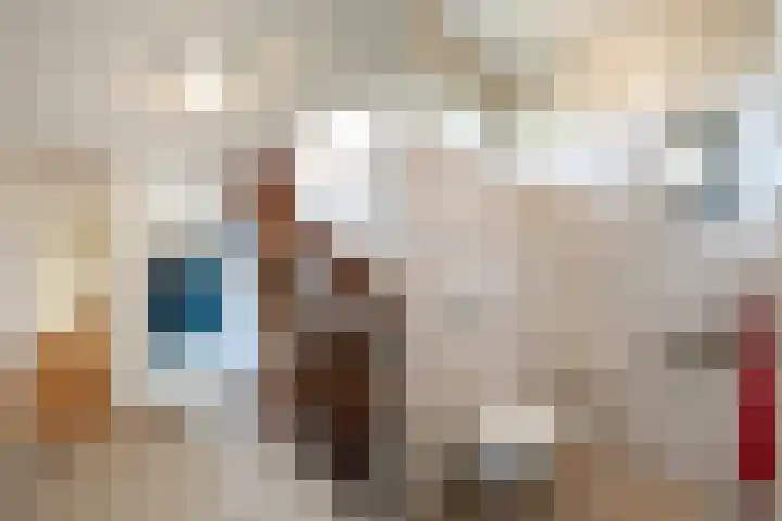 Paganinistraat 24 Oss thumbnail 6