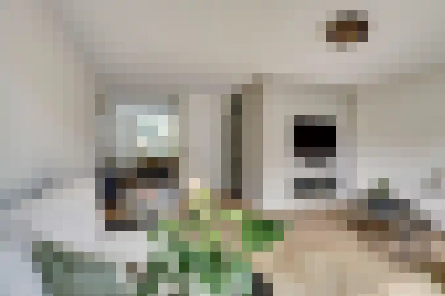 Page 1 Heerenveen thumbnail 11