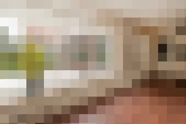 Pagestraat 10 Limbricht thumbnail 14