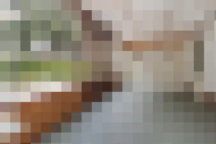 Pagestraat 10 Limbricht thumbnail 18