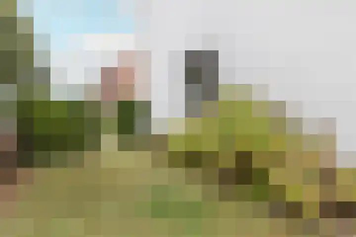 Pagestraat 10 Limbricht thumbnail 44
