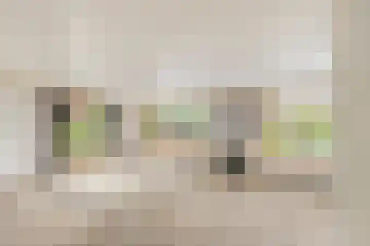Pageveld 26 Limmen thumbnail 10