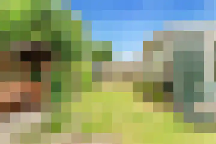 Pageveld 26 Limmen thumbnail 31