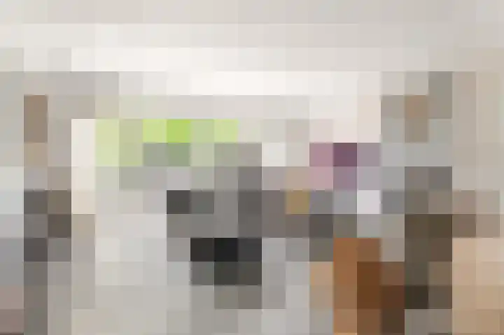 Pageveld 6 Limmen thumbnail 9