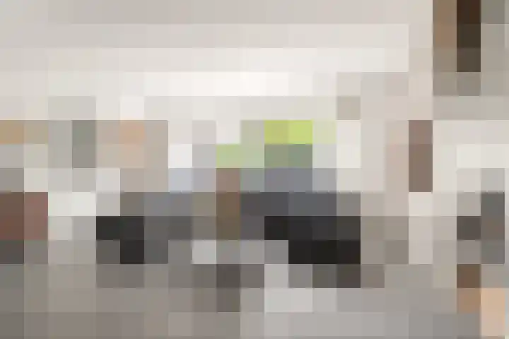 Pageveld 6 Limmen thumbnail 10