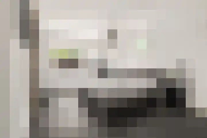 Pageveld 6 Limmen thumbnail 16
