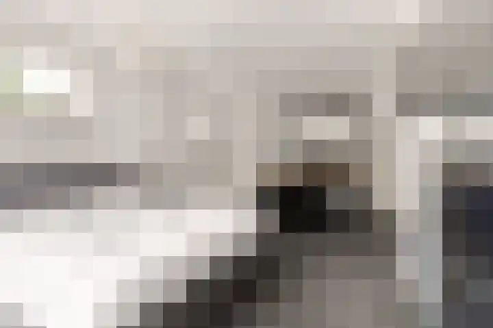 Pageveld 6 Limmen thumbnail 17