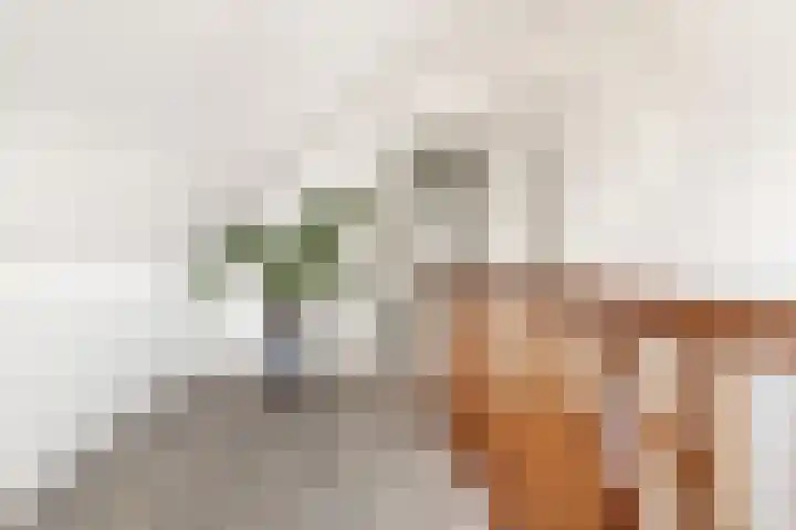 Pageveld 6 Limmen thumbnail 24
