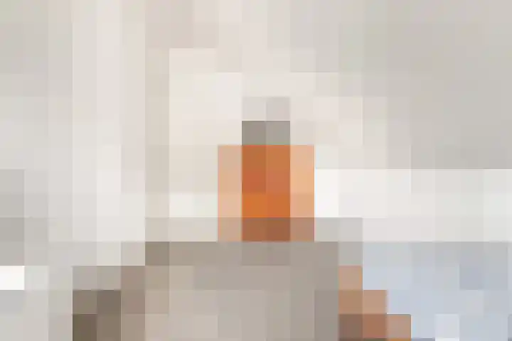 Pageveld 6 Limmen thumbnail 26