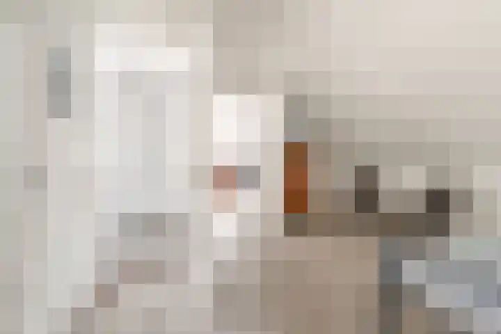 Pageveld 6 Limmen thumbnail 29