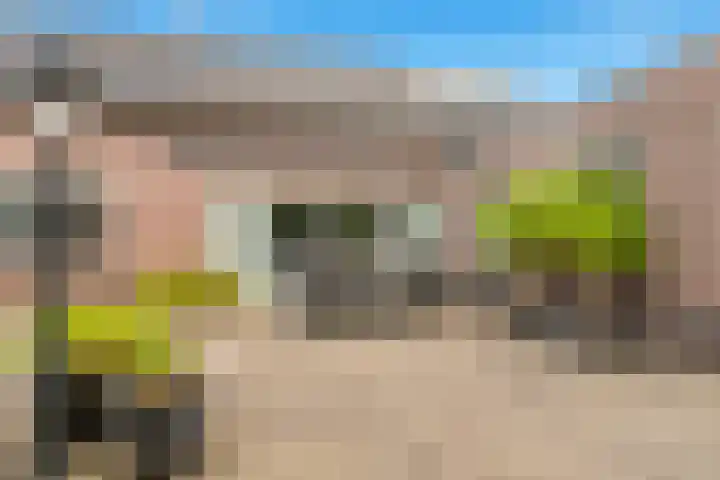 Pageveld 6 Limmen thumbnail 38