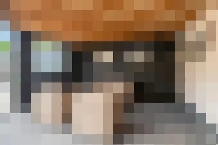 Pageveld 6 Limmen thumbnail 41