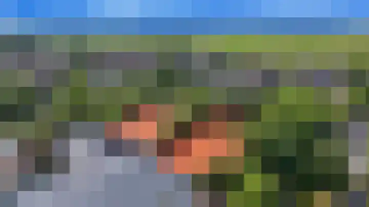Pageveld 6 Limmen thumbnail 46