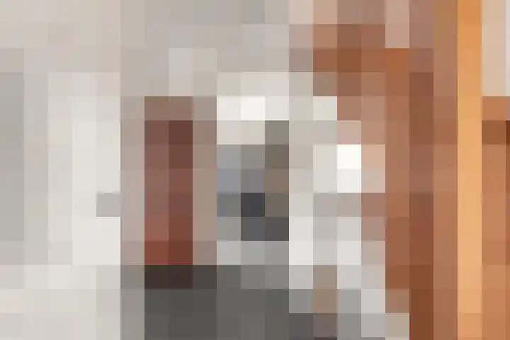 Pageveld 6 Limmen thumbnail 6