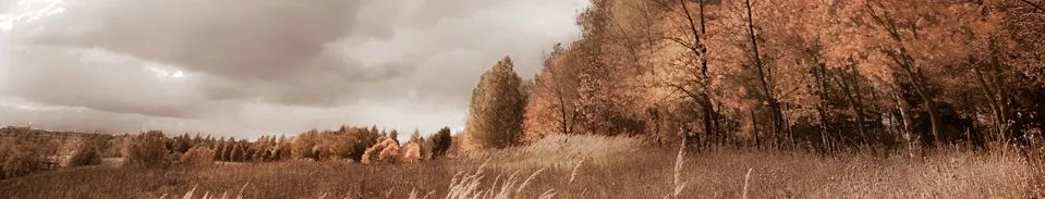 Photo d'équipe de PAGO adviesgroep