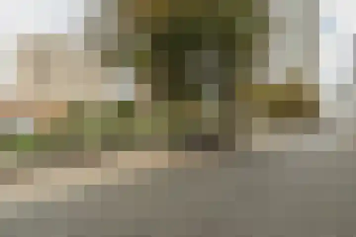 Palaceplein 230 Den Haag thumbnail 44