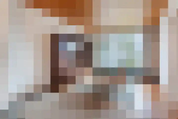 Paladijnstraat 24 Geldrop thumbnail 10