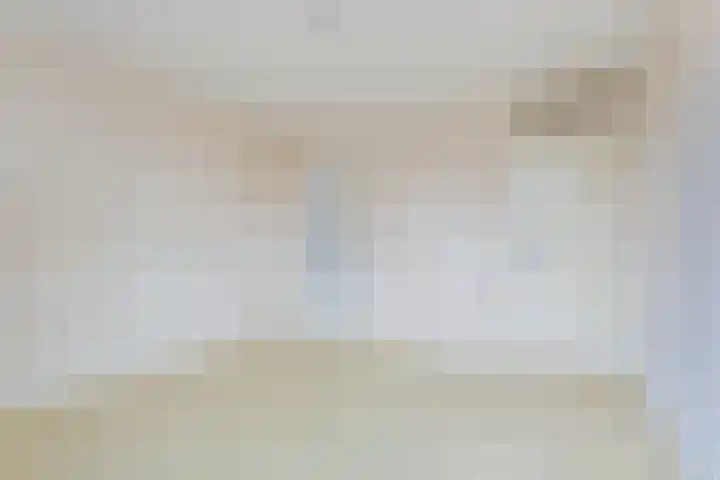 Paladijnstraat 24 Geldrop thumbnail 18