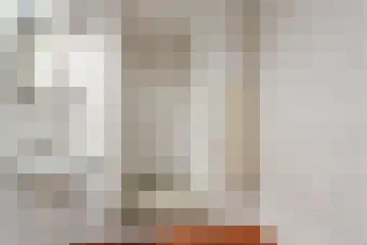 Paladijnstraat 24 Geldrop thumbnail 26