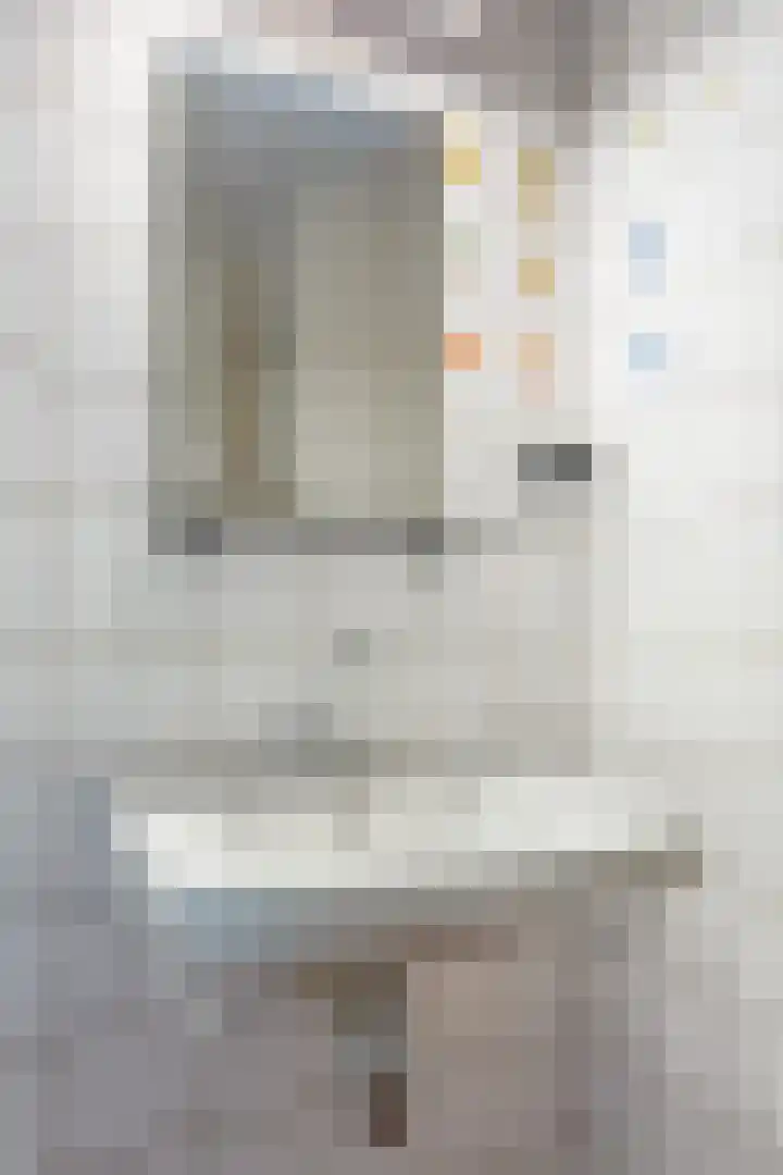 Paladijnstraat 24 Geldrop thumbnail 27
